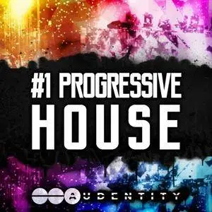 Audentity #1 Progressive House WAV MiDi