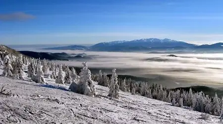Виталий Василевский. Фото природы
