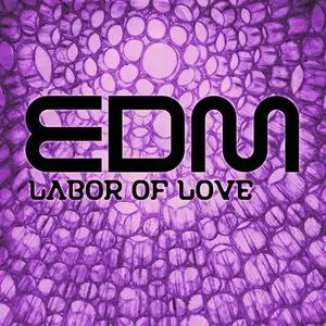 Sound Invaders EDM Labor of Love WAV