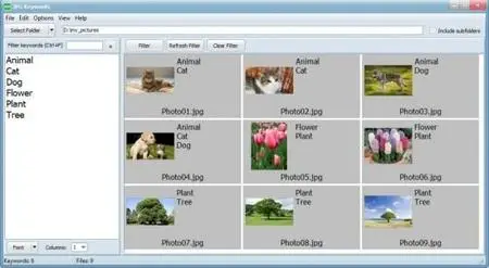 EedSoft Jpg Keywords 1.6