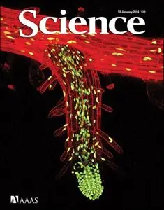 Science - 10 January 2014