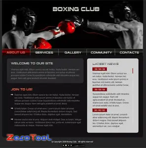 FlashMint 2158 Boxing flash template