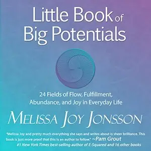 Little Book of Big Potentials  (Audiobook)