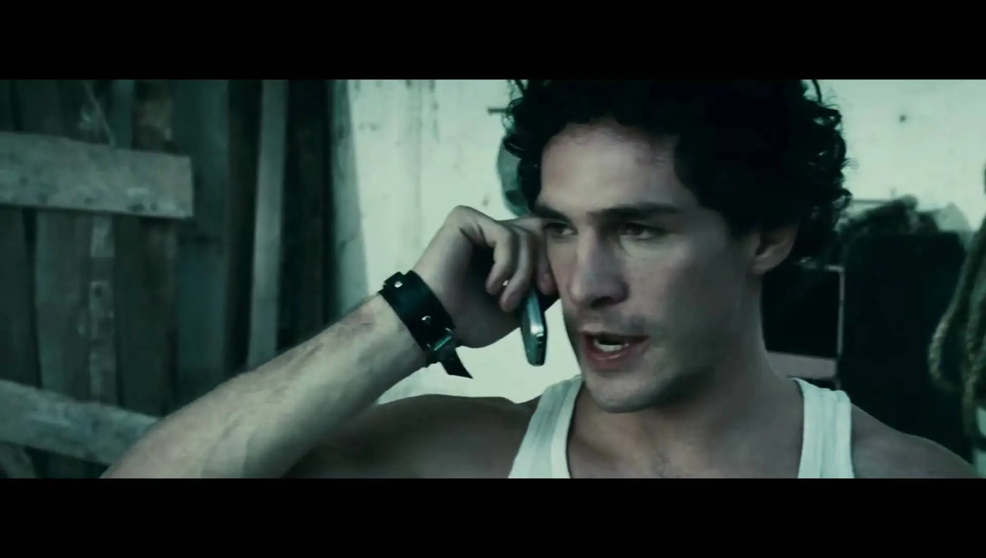 And Soon the Darkness (2010)