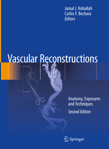 Vascular Reconstructions: Anatomy, Exposures and Techniques 2nd Edition