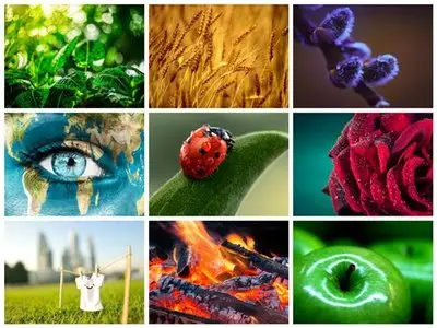 60 Beautiful Macro HD Wallpapers 4