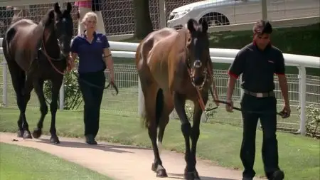 CH4 Inside Nature's Giants - Racehorse (2011)