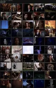 Huntress: Spirit of the Night (1995)