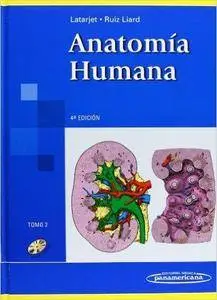 Anatomía Humana. Volumen II (4th Edition)