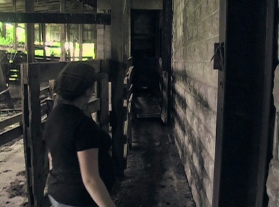 Vegucated (2010)