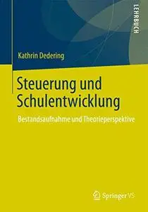 Steuerung und Schulentwicklung: Bestandsaufnahme und Theorieperspektive