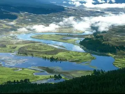 Extraordinary  Images of  Yellowstone