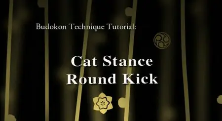 Cameron Shayne - Budokon DVD Set (2007)