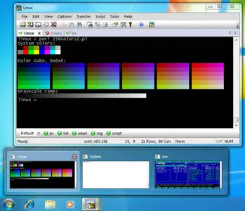 VanDyke ClientPack v6.5.1 32/64 Bit