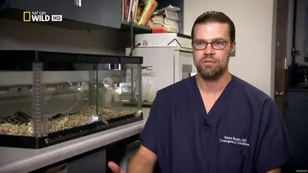 National Geographic Wild - Snake Underworld (2012)