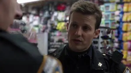 Blue Bloods S06E13