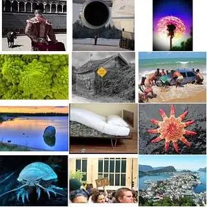 Impressive Pictures Pack7 Gallery