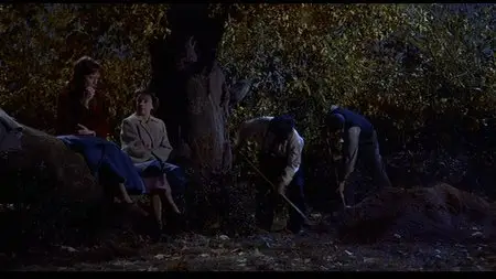 The Trouble with Harry (1955)