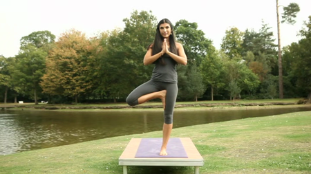 Elements of Yoga - Tara Lee