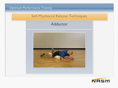 NASM Essentials of Personal Fitness Training [repost]