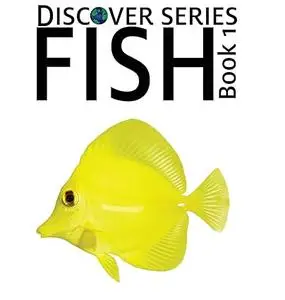 Fish: Discover Series Picture Book for Children
