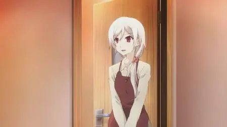 Fate/Kaleid Liner Prisma Illya (2013)