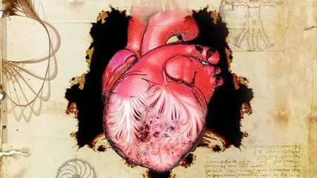 Clinical Anatomy Of The Thorax