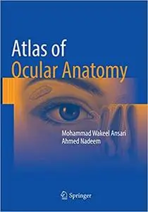 Atlas of Ocular Anatomy (Repost)