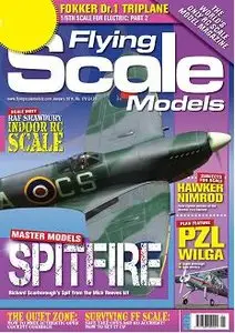 Flying Scale Models January 2014
