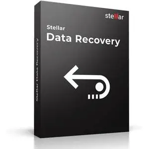 Stellar Data Recovery 11.0.0.6 (x64) Multilingual