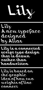 Lily Font Family