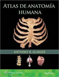 Atlas de anatomía humana