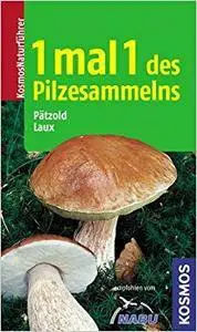 1 mal 1 des Pilzesammelns