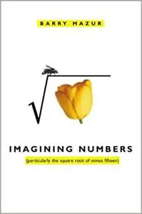 Imagining Numbers: (particularly the square root of minus fifteen)