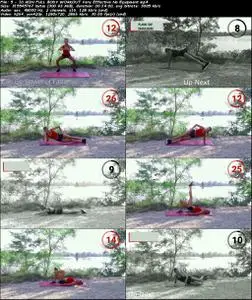 Full Body Workout