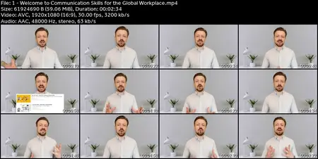 Communication Skills for the Global Workplace
