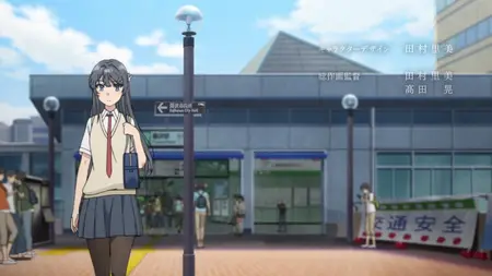 Rascal Does Not Dream of Bunny Girl Senpai - S01E11 (BDRip 1080p HEVC Opus E-AC-3