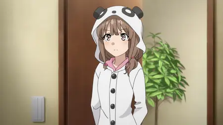 Rascal Does Not Dream of Bunny Girl Senpai - S01E11 (BDRip 1080p HEVC Opus E-AC-3