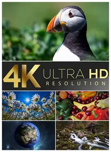 4K ULTRA HD Resolution Wallpapers 2