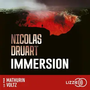 Nicolas Druart, "Immersion"