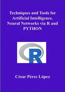 Techniques and Tools for Artificial Intelligence. Neural Networks via R and PYTHON