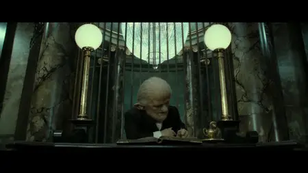Harry Potter and the Deathly Hallows - Part 2 (2011)