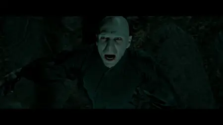 Harry Potter and the Deathly Hallows - Part 2 (2011)