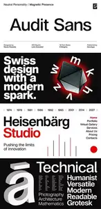 Audit Sans Font Family $197