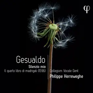 Philippe Herreweghe, Collegium Vocale Gent - Carlo Gesualdo: Silenzio mio: Il quarto libro di madrigali (1596) (2024)