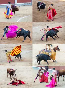 Spanish corrida