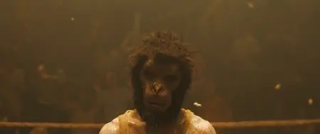 Monkey Man (2024)