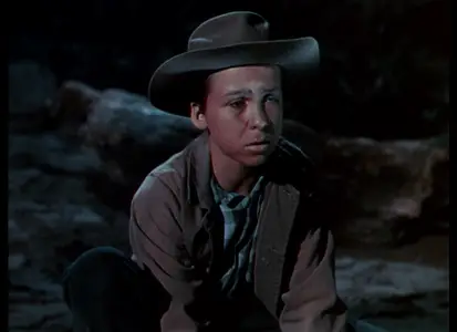 Wagons West (1952)
