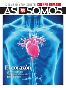 Así Somos El cuerpo humano - 15 Agosto 2025