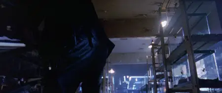 Eight Legged Freaks (2002)
